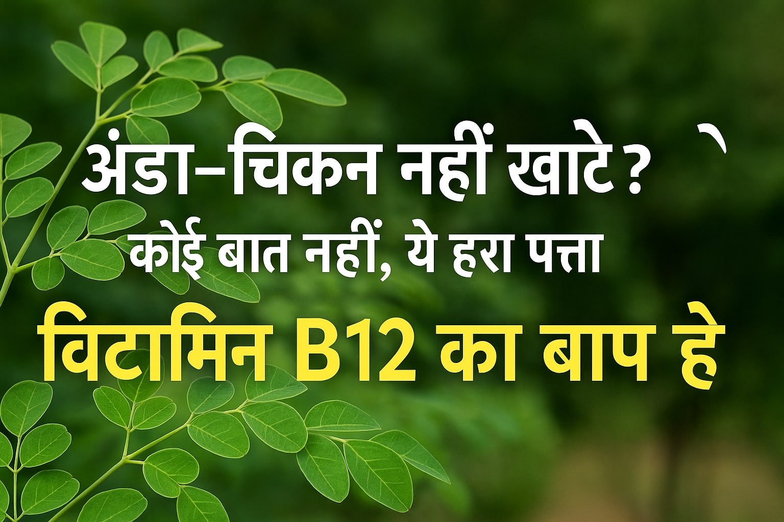 Image beautifully showing moringa leaves and have text claiming Moringa is Vitamin B12 source